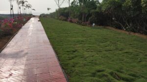 Lawn Care Services in Thane